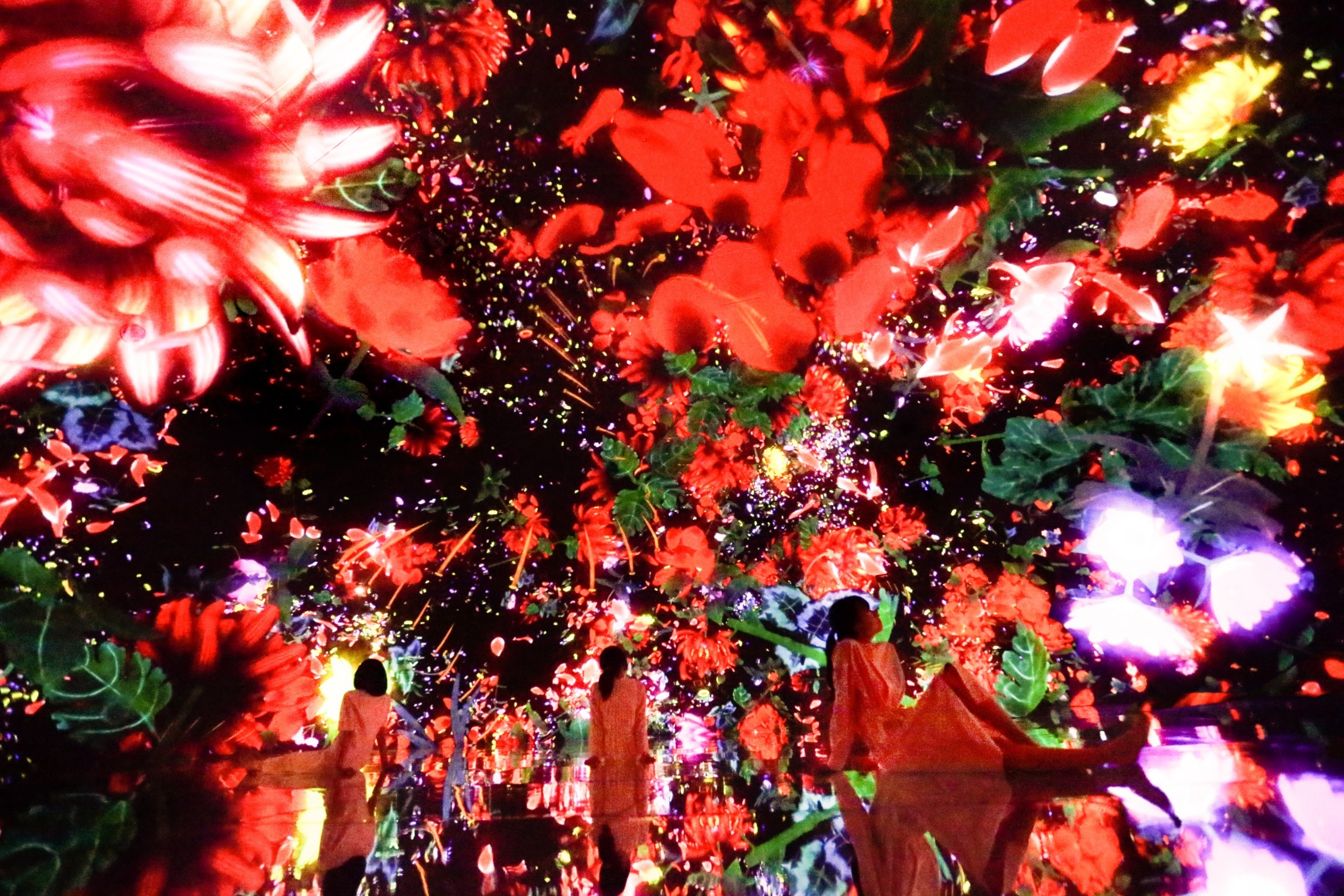 teamLab, Floating in the Falling Universe of Flowers, 2016-2018, Interactive Digital Installation, Endless, Sound: Hideaki Takahashi.